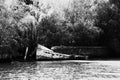 Black and white photography. Danube Delta. Danube River - landmark attraction in Romania.